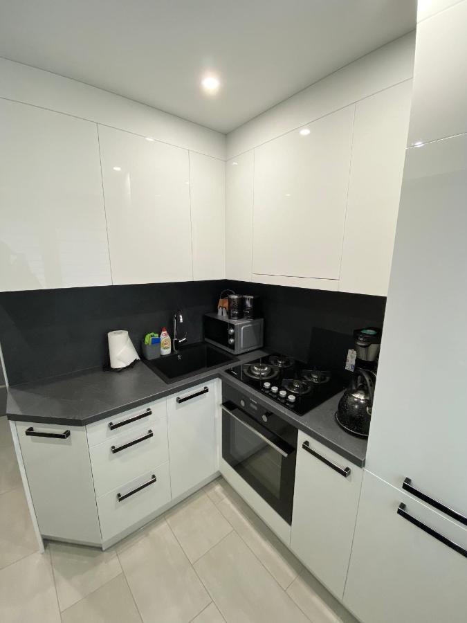 Studio Flat In Panevėžys Kültér fotó